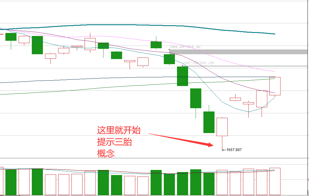 第1005頁