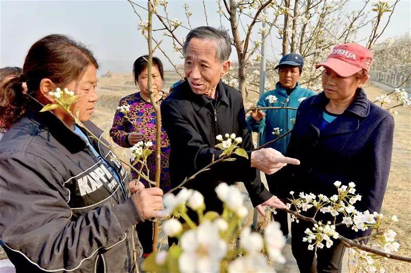 阜平縣城最新規(guī)劃圖，塑造未來城市的藍圖