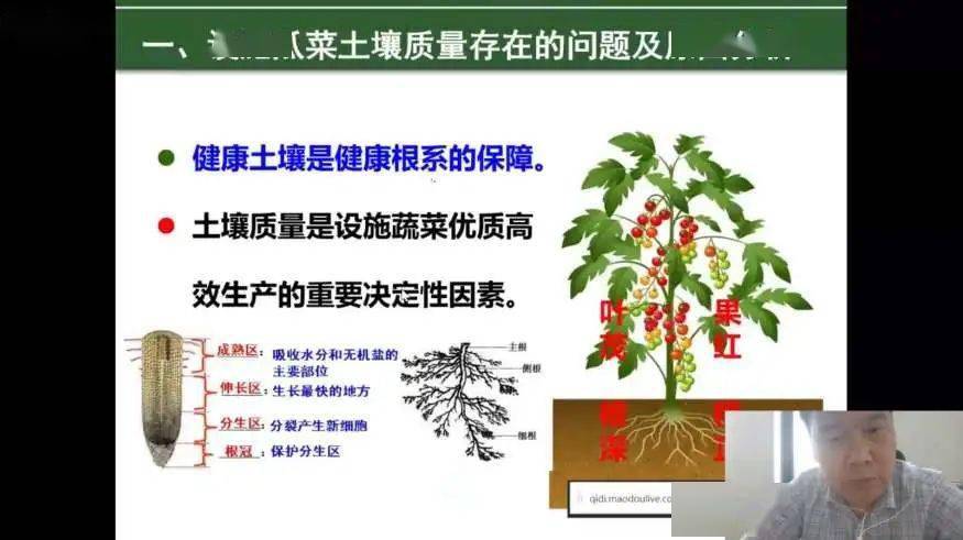 最新招聘果樹技術人員，掌握果樹科學，助力綠色產業(yè)發(fā)展