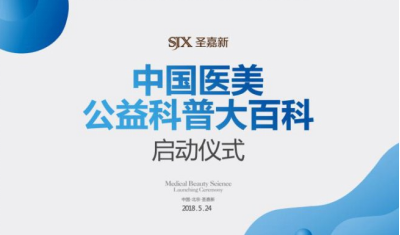 廈門最新追緝欄目第17期，深度解析城市安全新動向