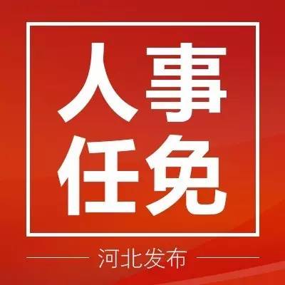 河北省最新任免動態(tài)解析