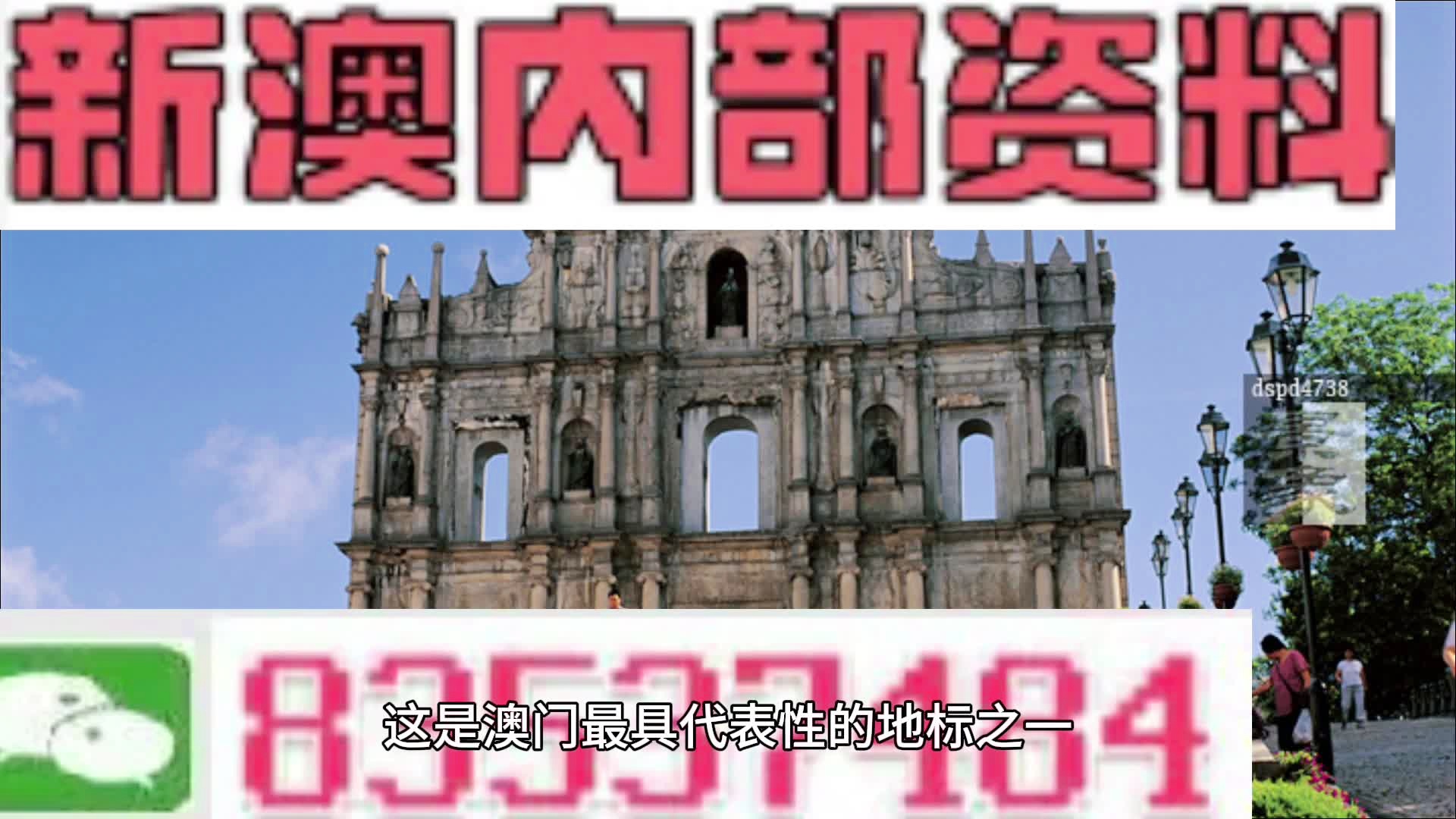 新澳精準(zhǔn)資料免費(fèi)提供，探索第265期的價(jià)值與影響