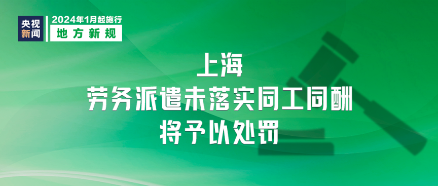 探索與分享，2024正版資料大全的免費資源世界