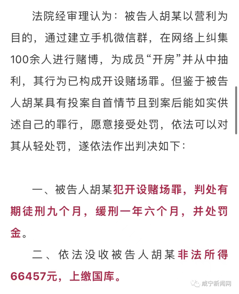 一肖一碼一一子中特，揭示背后的違法犯罪問題