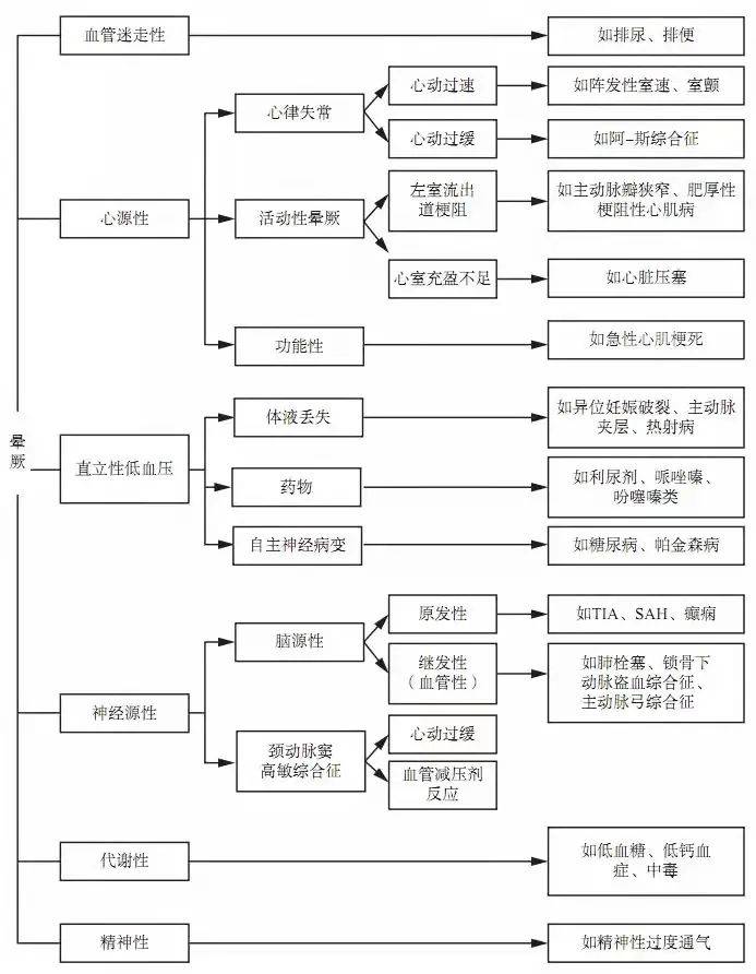 澳門100%最準(zhǔn)一肖，探索背后的神秘與魅力