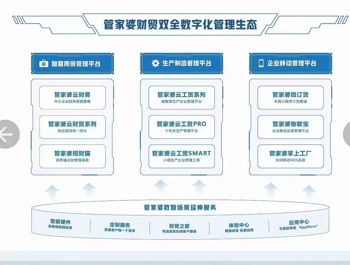 未來(lái)的管家婆，2024年管家婆100的崛起