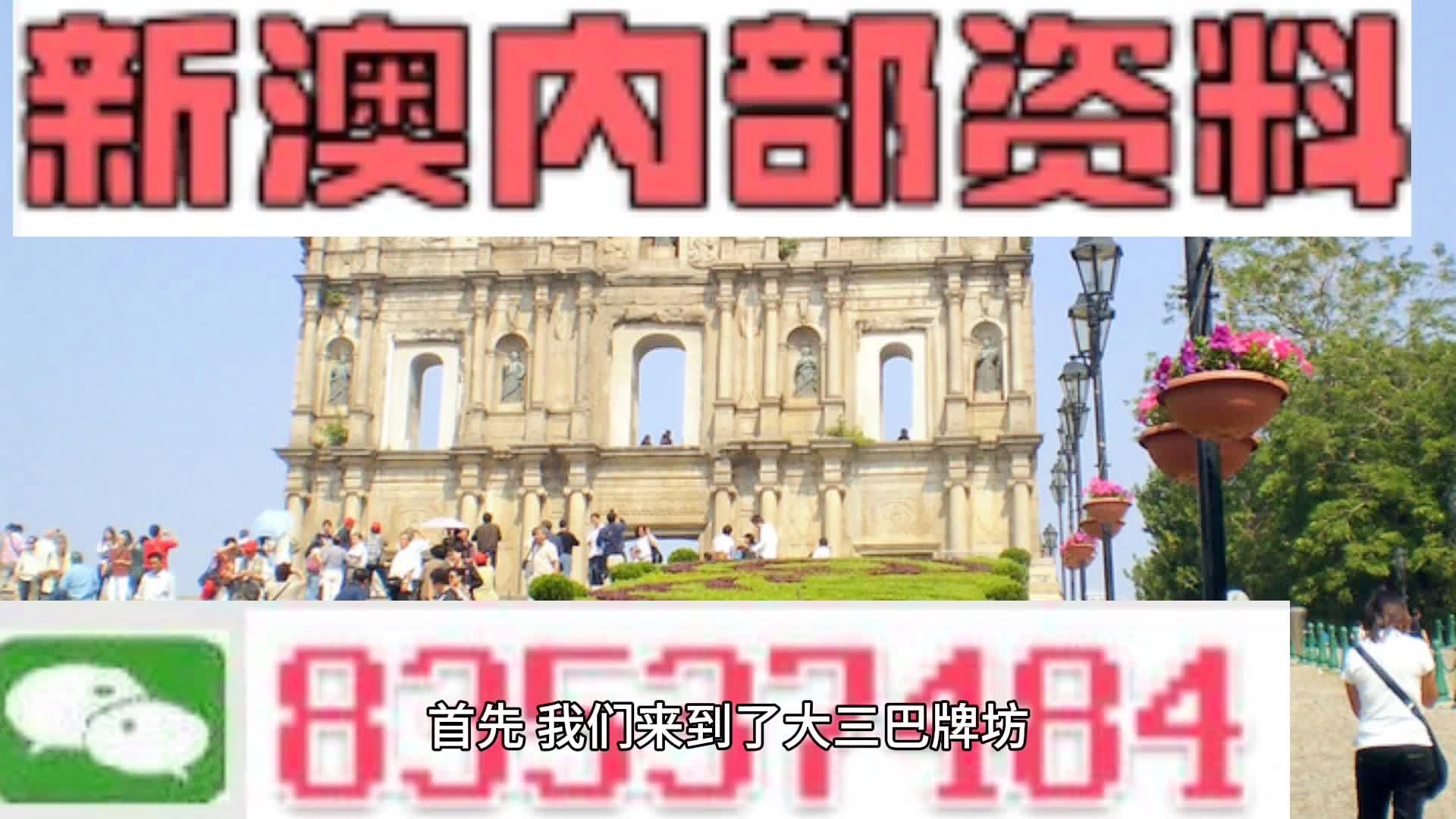 揭秘2024新澳三期必出一肖，探尋彩票背后的秘密